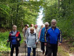 Kurzwanderung Rund um die Hütte