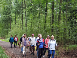 Kurzwanderung Rund um die Hütte