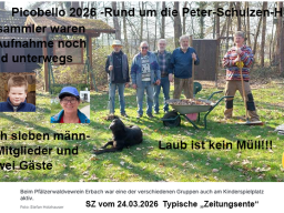 Picobello 2026