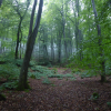 Elendsklamm 26.09.2021