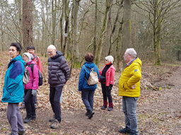 Räuberweg in Kirkel am 18.02.2024